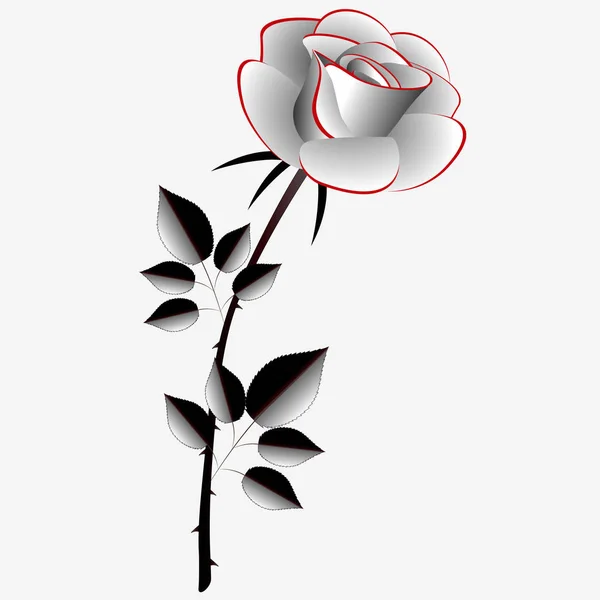 Rosa gris, elemento para el diseño . — Archivo Imágenes Vectoriales