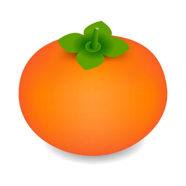 Persimmon Ovoce Izolované Bílém Pozadí — Stockový vektor