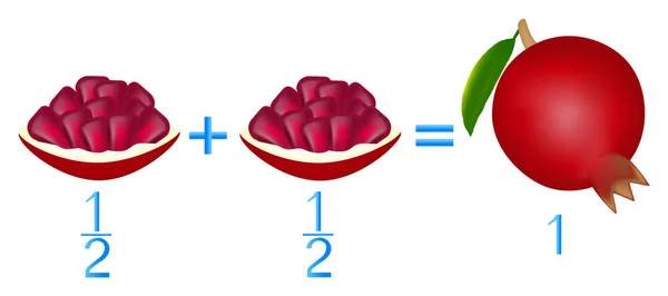 Relación Acción Sumar Mitades Ejemplos Con Granate Juego Educativo Para — Vector de stock