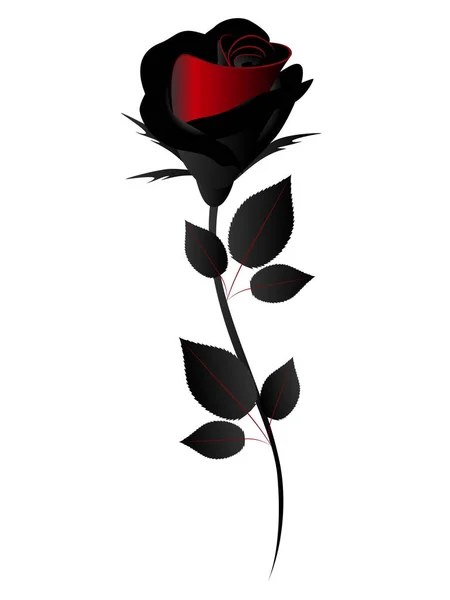 Rosa Sobre Fondo Blanco Elemento Diseño — Vector de stock