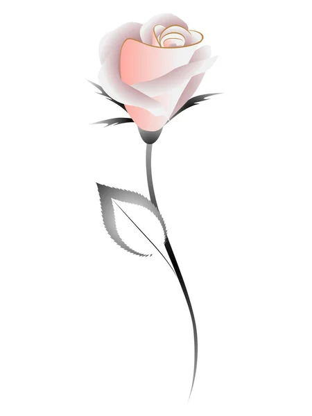 Rose Thé Sur Fond Blanc Élément Design — Image vectorielle