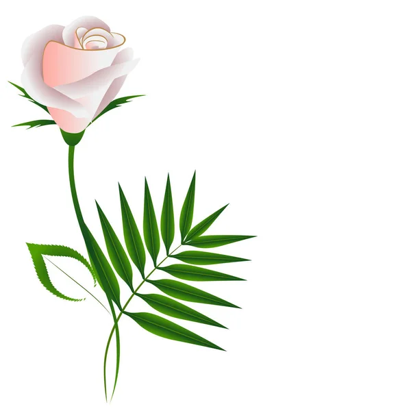 Fond Floral Avec Rose Feuilles — Image vectorielle