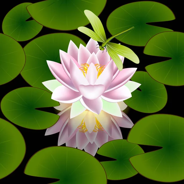 Modèle Sans Couture Avec Des Feuilles Fleur Lotus Libellule Sur — Image vectorielle