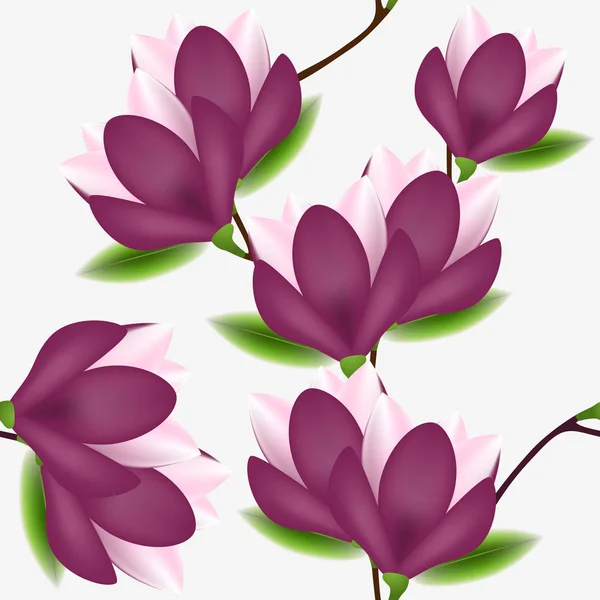 Χωρίς Ραφή Πρότυπο Magnolia Λουλούδια Λευκό Φόντο — Διανυσματικό Αρχείο