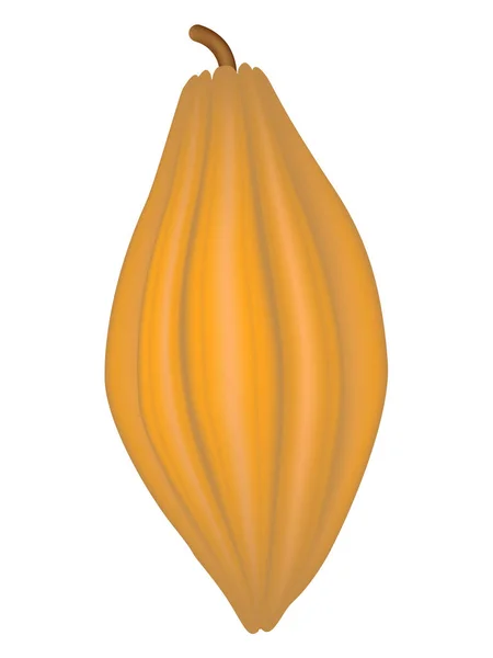 Fruta Cacao Sobre Fondo Blanco — Vector de stock