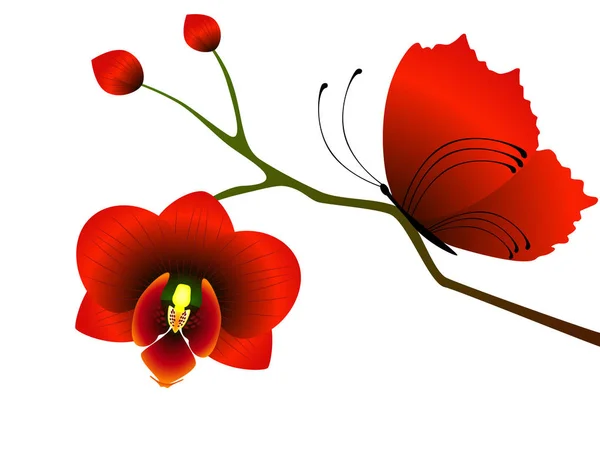 Egyik Ága Egy Orchidea Egy Piros Pillangó — Stock Vector
