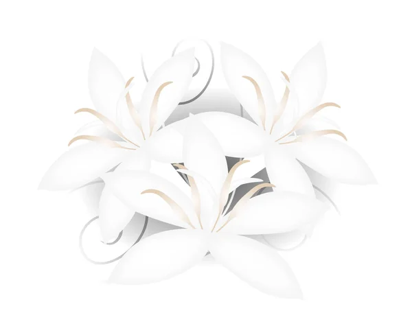 Fondo Floral Con Flores Blancas Abiertas Café — Vector de stock