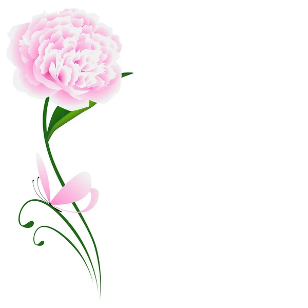 Blumenhintergrund Mit Rosa Pfingstrose Grünem Blatt Und Schmetterling — Stockvektor