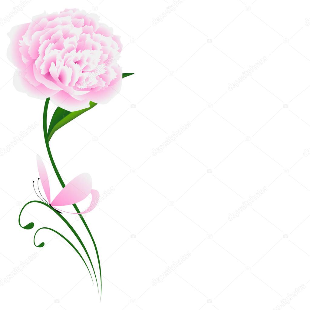 Floral background with pink peony, green leaf and butterfly.