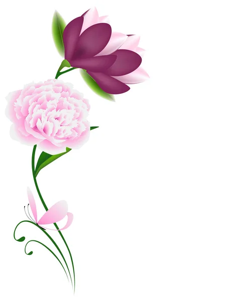 花白色背景与木兰和粉红色牡丹与蝴蝶 — 图库矢量图片