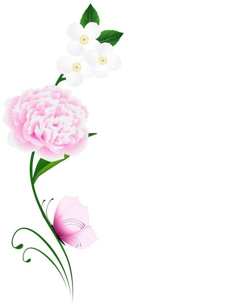 Blumen Weißen Hintergrund Mit Jasmin Und Rosa Pfingstrose Mit Schmetterling — Stockvektor