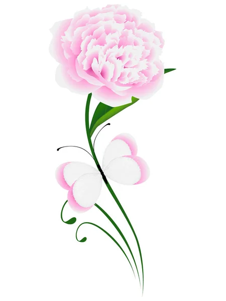 白色背景上有叶子和蝴蝶的粉红色牡丹 — 图库矢量图片