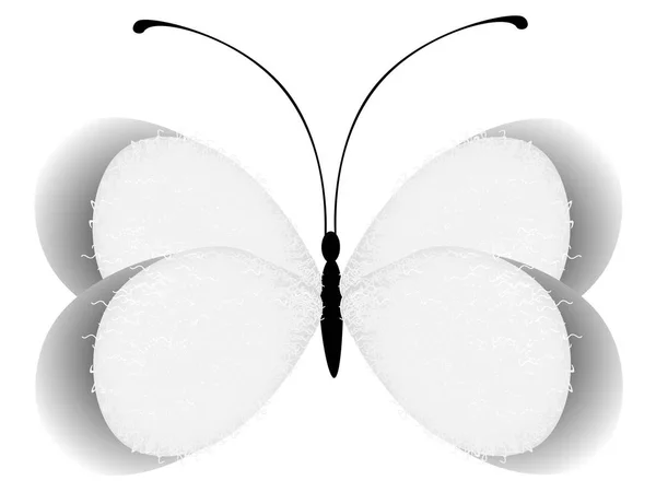 Mariposa Abstracta Elemento Diseño Aislada Sobre Fondo Blanco — Vector de stock