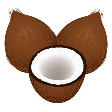 İki bütün hindistancevizi ve beyaz arka plan üzerinde izole yarım.