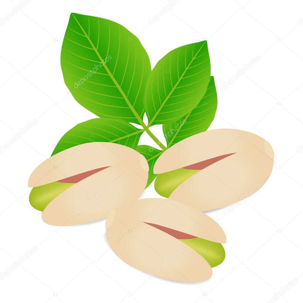 Pistachio nuts with leaves on a white background.