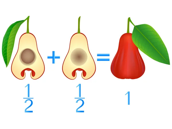 Action Relation Des Moitiés Addition Exemples Avec Les Pommes Roses — Image vectorielle