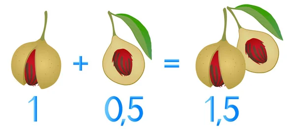 Çocuklar Için Matematik Oyunları Kesir Numaralarını Incele Örneğin Hindistan Cevizi — Stok Vektör