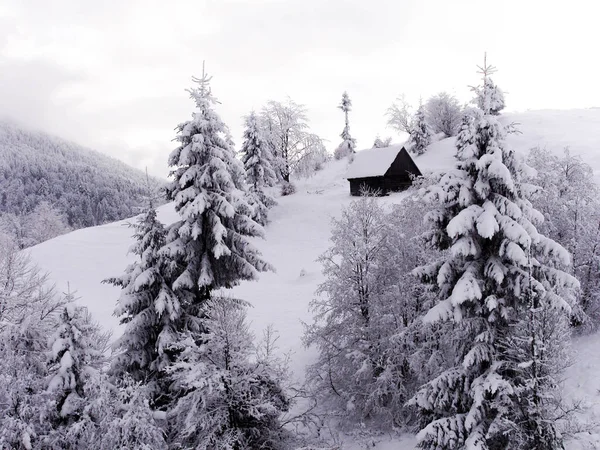 Casa Madera Las Montañas Invierno Bosque Nevado Maravillas Invierno Las —  Fotos de Stock