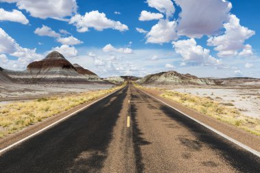 Arizona State, ABD çölde boş yol