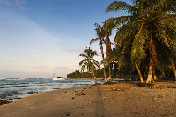 ヤシの木とプエルト ビエホ ・ デ ・ タラマンカ、コスタリカは、中央アメリカのボートとビーチ — ストック写真