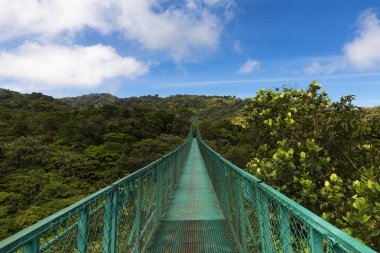 Suspended bridge over the canopy of the trees in Monteverde, Costa Rica clipart
