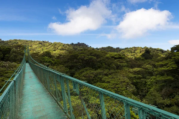 Ponte sospeso sul baldacchino degli alberi a Monteverde, Costa Rica — Foto Stock