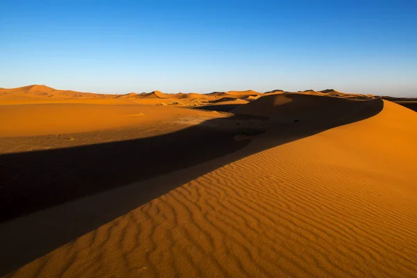 在日落时在 Erg 沙比附近梅尔祖加在摩洛哥沙丘 — 图库照片