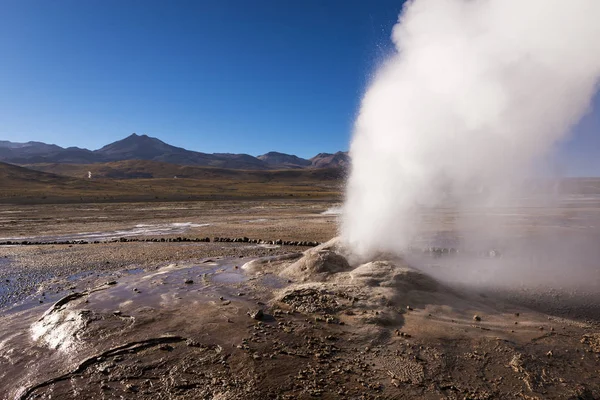 Actividade de erupção de Geyser no campo Geysers del Tatio no deserto do Atacama — Fotografia de Stock