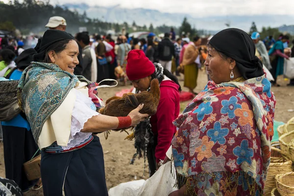 Mujer vendiendo un pollo en el mercado ganadero de la localidad de Otavalo en Ecuador . —  Fotos de Stock
