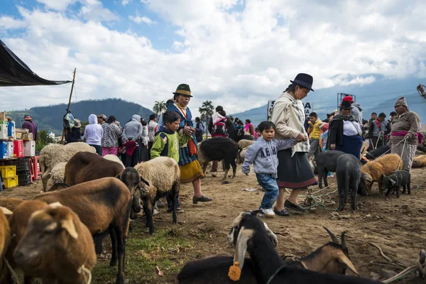 Люди на ринку тваринництва в Еквадорі, місто Otavalo. — стокове фото