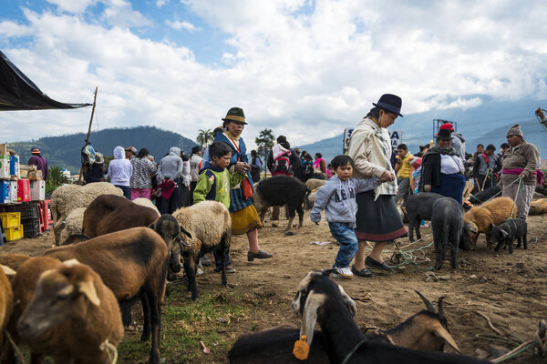 People at the livestock market of the town of Otavalo in Ecuador.