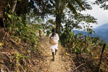 Sierra Nevada de Santa Marta, Kolombiya ormandaki bir iz yürüyüş: KOGI aile