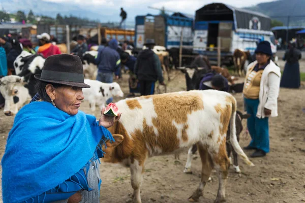 Pessoas no mercado de gado da cidade de Otavalo, no Equador . — Fotografia de Stock