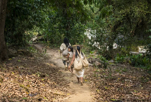 Familia Kogi caminando en un sendero en el bosque en la Sierra Nevada de Santa Marta, Colombia —  Fotos de Stock
