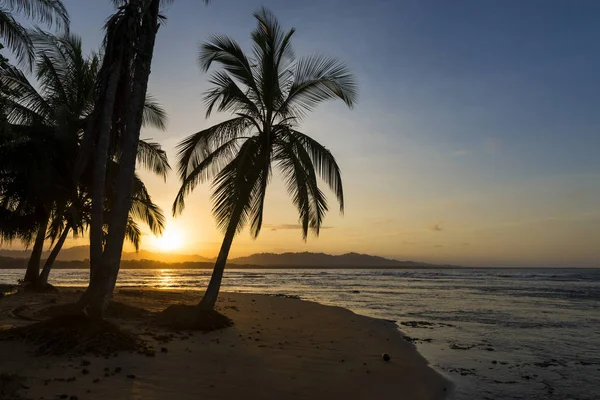 Pohled na pláž s palmami v Puerto Viejo de Talamanca, Costa Rica při západu slunce — Stock fotografie