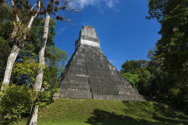 Antik Maya şehir Tikal Guatemala piramit