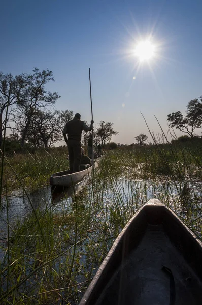 Gente en canoas mokoro en el Delta del Okavango, Botswana —  Fotos de Stock