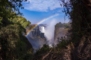 Victoria Falls Zimbabve gökkuşağı ile görünüm