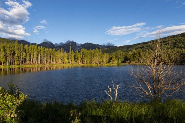 Bear Lake Rocky Dağları Milli Parkı, Colorado eyaleti içinde güzel görünümü