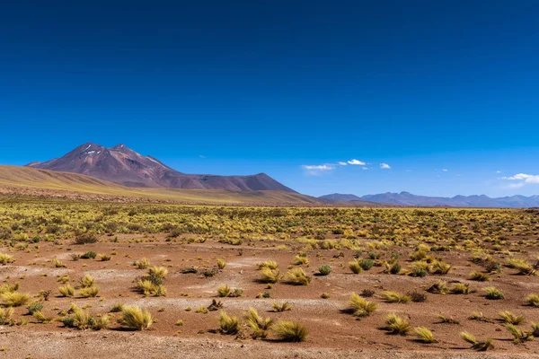Вид на горы и пустынный ландшафт вокруг высокогорных лагун в пустыне Атакама, Чили — стоковое фото