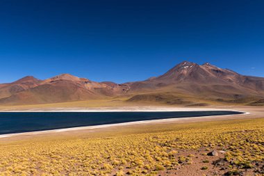 Çevredeki dağlar ve volkan Atacama Çölü'nde Miscanti Gölü (Laguna Miscanti)