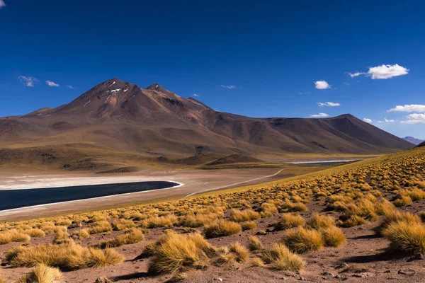 Lago Miscanti (Laguna Miscanti) con las montañas circundantes y volcán en el desierto de Atacama, Chile — Foto de Stock