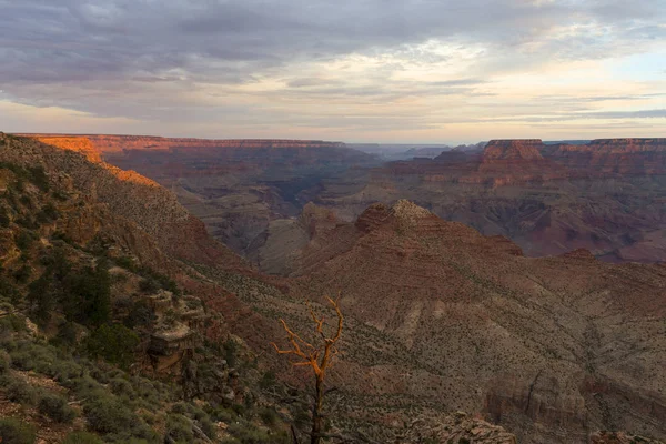 Grand Canyon all'alba dal Desert View in Arizona; USA — Foto Stock