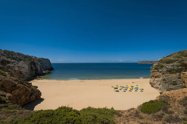 Koyun ve Sagres, Portekiz Beliche Beach (Praia do Beliche)