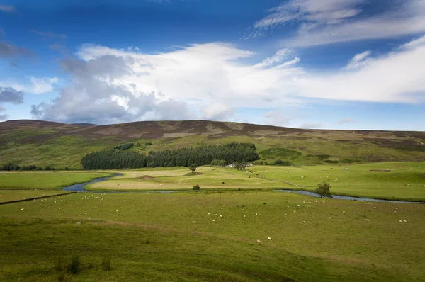 Beautiful farm with animals and a river in the Highlands of Scotland — Stock Photo, Image