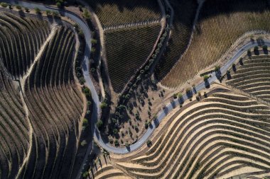 Bir yol boyunca üzüm bağları douro Vadisi'nin tepelerde hava görünümünü; Portekiz'de Douro Valley Seyahat için kavram