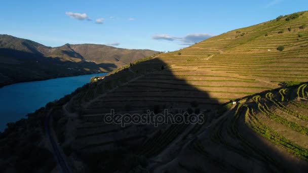 Vista Aérea Rio Douro Das Encostas Circundantes Terraços Portugal Europa — Vídeo de Stock