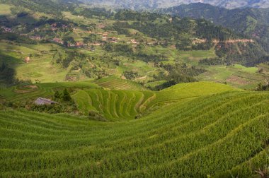 Harika bir manzara Longsheng pirinç terasları yakınındaki Dazhai köyün Guangxi eyaleti, Çin; Çin seyahat için kavramı