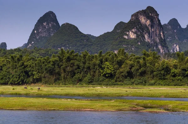 물소와 아시아 Yangshuo 백그라운드에서 석회암 봉우리 개념에 중국에 — 스톡 사진