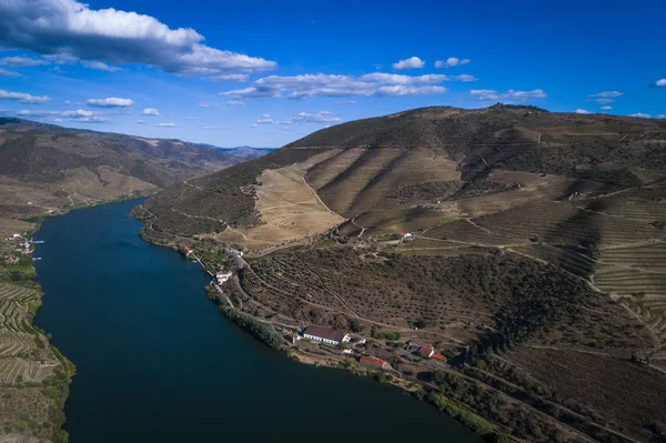 Aerial View Douro River Surrounding Terraced Slopes Wine Making Estate — Stock Photo, Image